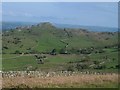 Waliau cerrig cam / Zig-zag stone walls