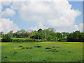 A  field  with  the  A164  beyond