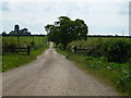TL1196 : Drive to Chesterton Lodge from the A1 (Great North Road) by Richard Humphrey