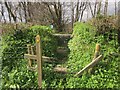 Stile near Higher Bowden