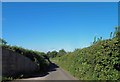 Single track lane near Mumbleys Farm