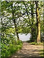 Footpath around Carr Mill Dam