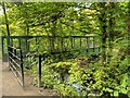 Footbridge over Black Brook at Glass House Close Wood