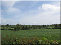 Bocage country in the upper reaches of the Cusher Valley