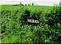 Levin Road near Belleek, Co Armagh