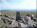 NT9419 : Trig Pillar, Hedgehope Hill by Michael Graham