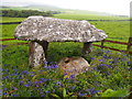 Cefnamwlch Burial Chamber