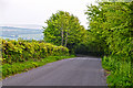 West Somerset : Exmoor - Mill Lane