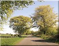 Tree lined road south of Kilnpot Wood