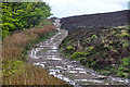 SS8841 : West Somerset : Exmoor - Moorland Path by Lewis Clarke