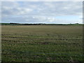 Stubble field near Gateside