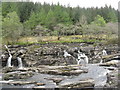 NN2432 : River Orchy at Eas Urchaidh by M J Richardson