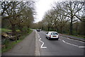 Bedford Hill crosses Tooting Common