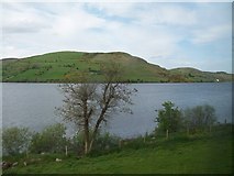 J2933 : The southern shores of Lough Island Reavy by Eric Jones