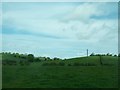 Powerlines running parallel with the Kingsmill Road