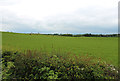 NS4134 : Farmland near Earlston by Billy McCrorie