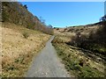 NS5281 : West Highland Way near Dumgoyach by Lairich Rig