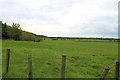 Farmland near Dundonald