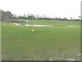 Sibton Park Cricket Club?s flooded pitch