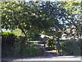 Small park on the corner of Gap Road, Wimbledon