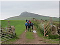 Llwybr Trelewyd Path