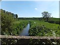 Stream at Ton Bridge