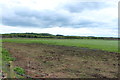 Farmland at Little Galdenoch