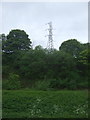 Woodland and pylon