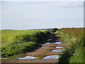 Farm track near Westborough Lodge Farm