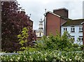 The Moot Hall Brampton