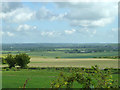 View north from Icknield Way