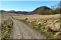 NS5380 : West Highland Way near Dumgoyach by Lairich Rig