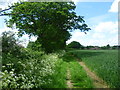 Footpath to Smarden