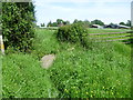 Footpath from Bethersden Road