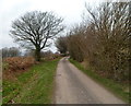 North towards Mynyddislwyn