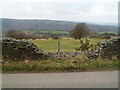 Missing section of stone wall south of  Mynyddislwyn