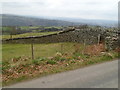 Stone wall between fields south of  Mynyddislwyn