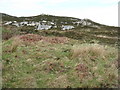 NR3792 : Rocky moorland on Colonsay by M J Richardson