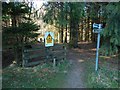 Start of a path through the Squirrel Wood