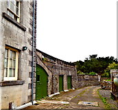 L9884 : County Mayo - Westport House - North Side View by Suzanne Mischyshyn