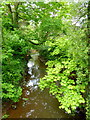 The Ell Brook at Cleeve Mill