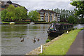 River Thames, Reading