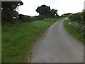 Road above Higher Corscombe