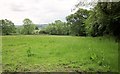 Field near Higher Allerton