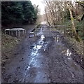 Muddy footpath approaches the site of Abernant railway station, Aberdare