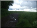 Crop field, Upper Newbold