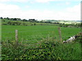 Trienamongan Townland