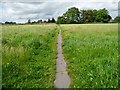 The tarmac path leading to St Barnabas School