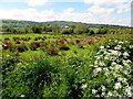 Mullanabreen Townland