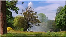 ST3505 : Forde Abbey Fountain Mist by Mr Eugene Birchall